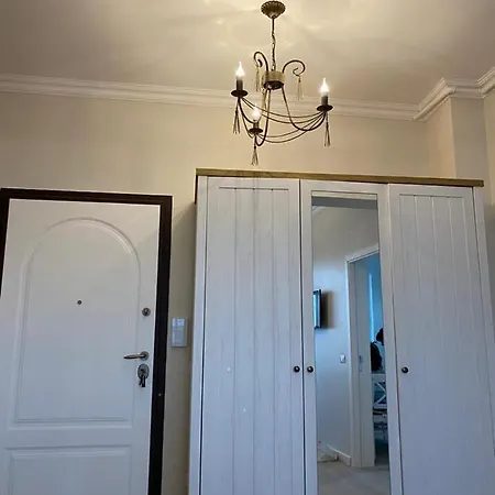 Vasiles * Navodari